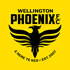 View Wellington Phoenix Football Club